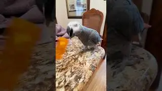 That Perfect Throw 😮