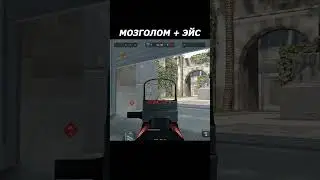 Warface Эйс и Мозголом  