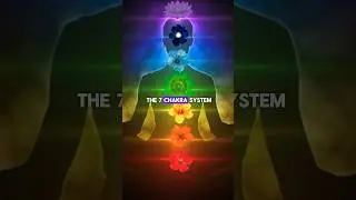 12 Chakra System 🔴🟠🟡🟢🔵🟣⚪️⚫️♾