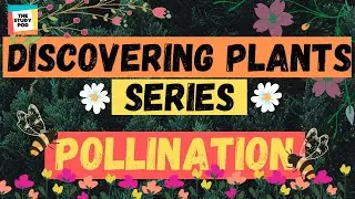 POLLINATION | DISCOVERING PLANTS SERIES | Part 3 | Science | The Study Pod
