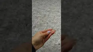 #Կարկուտ