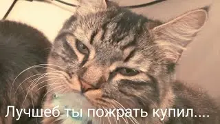 К 750 с Авито