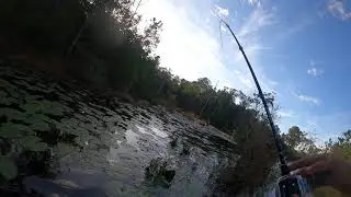 Kayaking a peaceful pond and Fishing for a lunker Bass