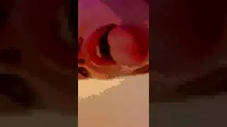 Оля и Крис целуются