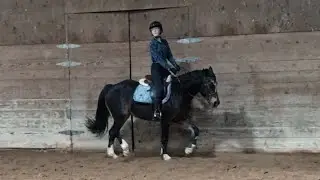 DOTTIE FLIES (even over tiny jumps)