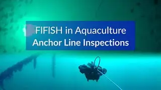 Aquaculture | Anchor Line Inspections