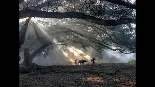 Топ фотографий снятых на iPhone 2017/2018█Top photos taken on iPhone 2017/2018
