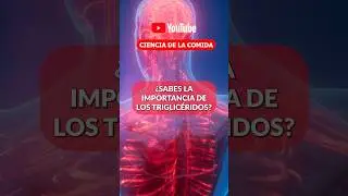 ¿SABES LA IMPORTANCIA de los TRIGLICÉRIDOS? #triglicéridos #salud #cienciadelacomida