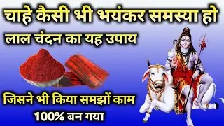 lal chandan ka upay pradeep mishra कठिन काम भी तुरन्त हो जाएगा | @shivmahapuran2M