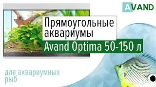 Прямоугольный аквариум Avand Optima 50 — 150 литров.