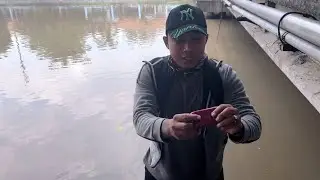 MAGNET FISHING || SURABAYA OLD BRIDGE || METAL DETECTING NGOEK