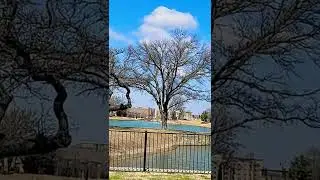 Beautiful Day 