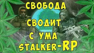 Свобода сводит с ума в сталкер рп.....