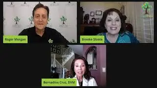 Bladder Issues Dogs and Cats & Hairball Issues in Cats with Dr  Bernadine Cruz