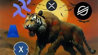 X CRYPTO Live Chat $XRP $XLM $XDC $SHX $XX $XPX $XPR $XMR $XHV $XNO $XSP $XVG $XTZ $FLIX $XAI