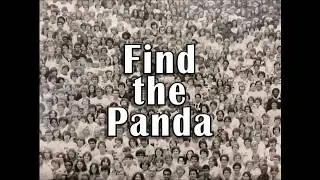 Find The Hidden Panda Puzzle