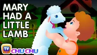 Mary Had A Little Lamb Nursery Rhyme With Lyrics   Cartoon Animation Rhymes