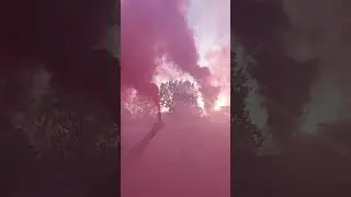 Гендер пати