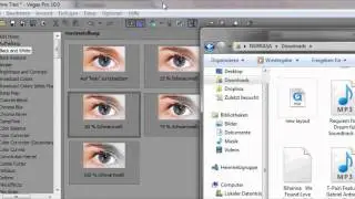 Sony Vegas Audio Effect #1