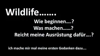 Wildlife?----kann ich das? Mit meiner Ausrüstung? Und wo und was......?