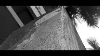 The Ant || a Macro Film 2021 || 46 seconds || Created by Sagar
