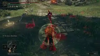 When your friend is lagging [Elden Ring]
