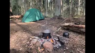 Неудачный котопоход