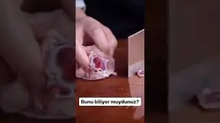 Bunu Biliyor Muydunuz?