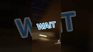 Is that the magic wolf? (Furry Memes)