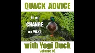 Quack Advice with Yogi Duck: Volume 10