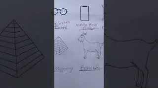 grading my student's text