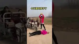 ttl video 