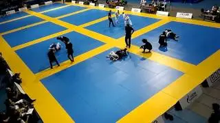 Gimnasium cup VIII