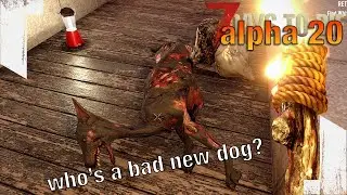 ★ A20 7 Days to Die - New dog needs to watch its step - ep 2 - 7 Days to Die alpha 20