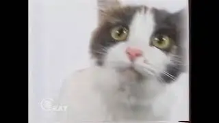 Скат - Рекламная заставка (2000) с оригинальной аудиодорожкой