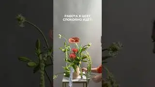 И не поспоришь 😄 