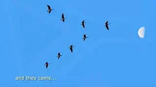 and they came