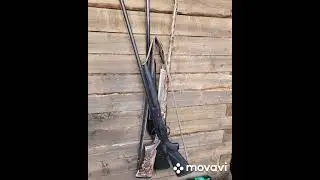 охота#сайга-12#болота#тайга#отдых####подписка##