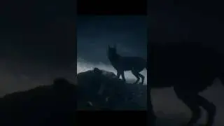 low honor Arthur gets a mind blowing experience #rat