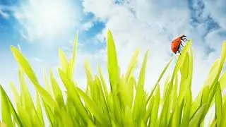 СНОВА ДЕНЬ – Петр Бальжик из альбома ХРАНИ СЕБЯ 2020
