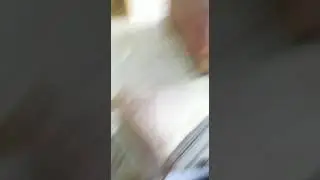 #shorts protokol pembelian ikan cupang dan siap di tunggu lagi