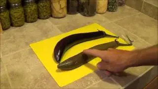 CAN YOU FREEZE EGGPLANT? Lets Find Out.