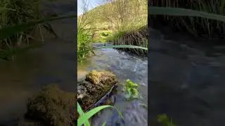 Ляпота вокруг нас 