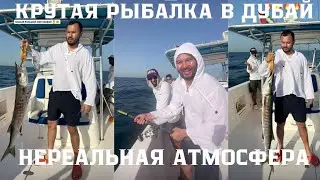 ЭТО НАДО ПОЧУВСТВОВАТЬ... РЫБАЛКА В ДУБАЙ. ТАЛГАТ ИТАЕВ