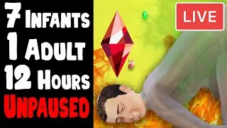 7 infants - 1 Adult - 12 hours - Unpaused  (LIVE) 