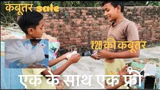 Free कबूतर 😱|| कबूतर की वीडियो 🕊️|| First Vlog ❤️ ||