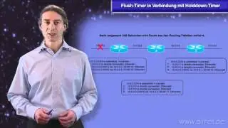 RIPv1: Flush-Timer in Verbindung mit Holddown-Timer