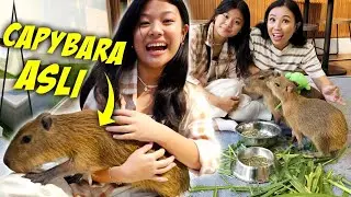 PLAY WITH THE WORLD'S MOST CUTE ANIMAL, THE CAPYBARA! FIRST IN INDONESIA! Cute Animals | CnX Adve...