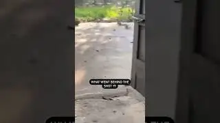 what went behind the shot  📷 🐁  