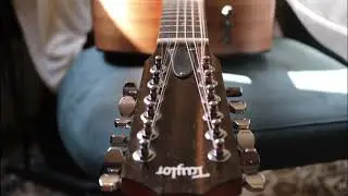 12 String, Taylor 150 e....never tried that...lets do it